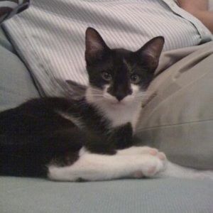 Meet your Posher, Margaret